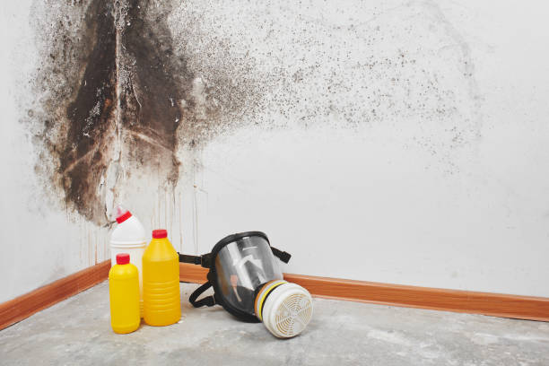 Best Mold Remediation Services  in Powers Lake, WI