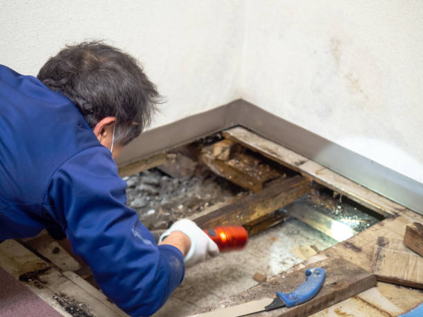 Best Professional Mold Removal  in Powers Lake, WI