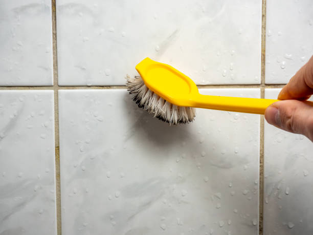 Best Certified Mold Removal  in Powers Lake, WI