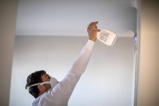 Best Home Mold Removal  in Powers Lake, WI