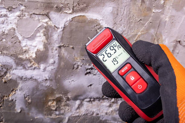 Best Certified Mold Removal  in Powers Lake, WI