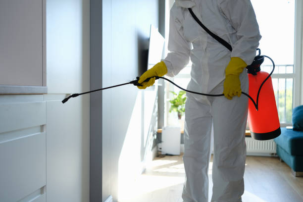 Best Toxic Mold Removal  in Powers Lake, WI