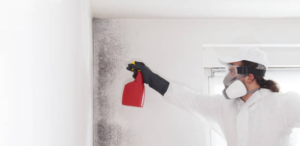 Best Office Mold Removal Services  in Powers Lake, WI