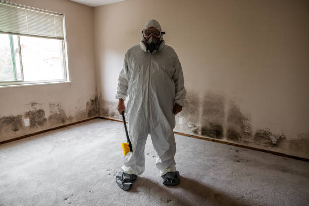 Best Attic Mold Removal  in Powers Lake, WI